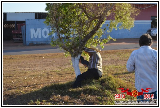 rolim de moura